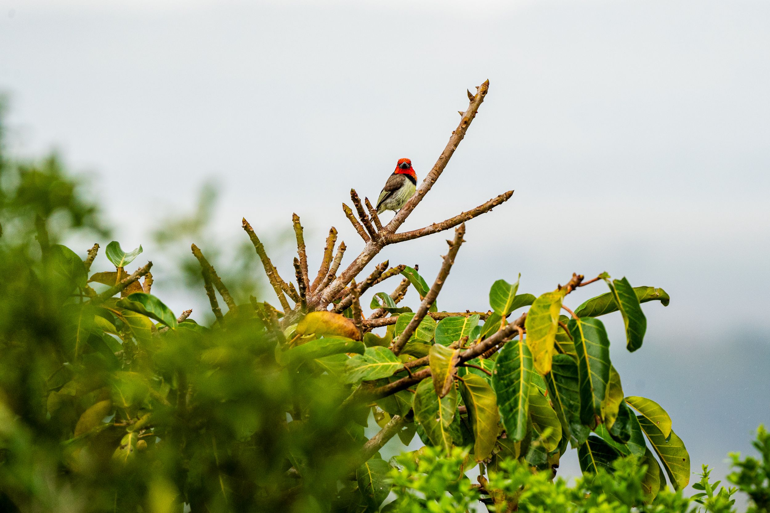 20230924 120036 Fotobuch Südafrika 03849